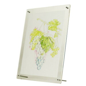 xX NAt[~O ܏z A4 PE-042A 