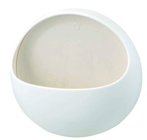 SANEI(TGC) oX| 񂨂 zCg