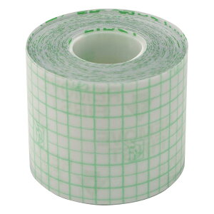 X~Xlt[ IvTCgtLVtBbNX 50mm×10m 66000040