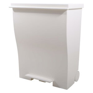 IfmD (ACfB[) S~ LX^[t Kcud N[h ^ 45l| Chy_ (39L, I[zCg)