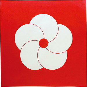 ނ ӂ낵 70 n |~ AJ 70cm 