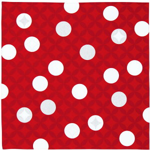 ނ ӂ낵 70 n  AJ 70cm 