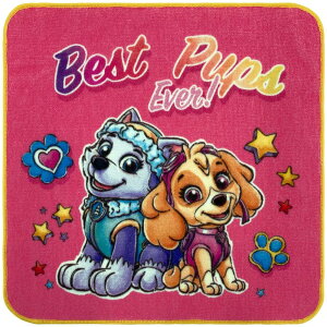 (Hayashi) ~j^I 25×25cm pEEpg[ sNcC PN416100