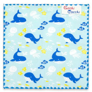 ~g^I {{ nJ` qnJ` acchi cocchi  { u[ 15×15cm 02934