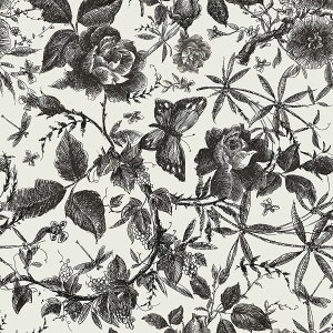 Juangfia ǎV[ ԕ  ǎ h CNV[g Lb` ǎV[g JbeBOV[g tH[V[g DIY EH[ XebJ[ 10m ubN