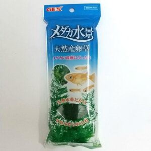 WFbNX GEX _JC V_ _Ji VRY