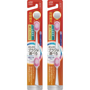 VXe} CI dAVXguV tփuV ɏv~A ӂ 2{ ×2