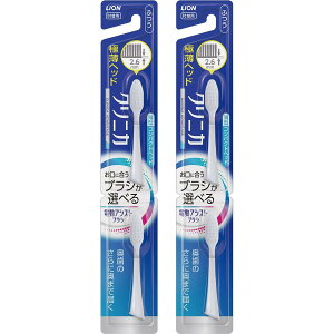 VXe} CI dAVXguV tփuV NjJ Ahoe[W RpNg ӂ 2{ ×2