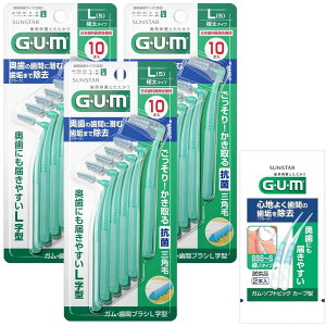 GUM(K) ԃuV L^ ̎ԃPA C[^Cv TCY:L (5) 10{×3pbN+܂t