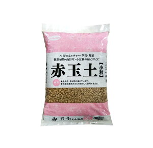 TAhz[v ԋʓy 2L nChJ`[EԁE؁EϗtAER쑐E~͂̐Aւ ʋCErɗD 