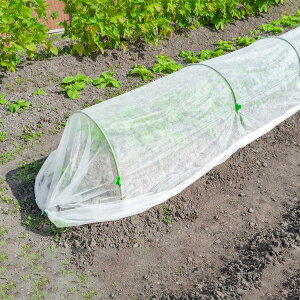 AXg |p sDzV[g zCg 1.6×10m όܔz ׂV[g }`OV[g h  hJo[ }`V[g ƒ؉ K[fjO 602-99