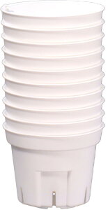 {| S|bg60 10g zCg vX`bN Xbg AT{e