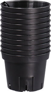 {| S|bg75 10g ubN vX`bN Xbg AT{e