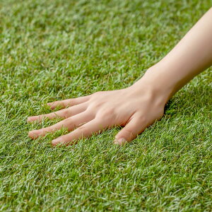 yhV[gsvzACXI[} lH ՔM^Cv \ʉx-10 1m×2m BPS-3012