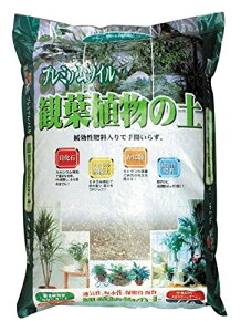 {O[T[rX v~A\CϗtA̓y 14L