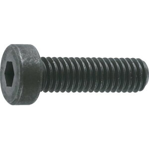 TRUSCO(�g���X�R) �ᓪ�Z�p���t�{���g �����ߔ��l�W �T�C�YM6×40 8�{�� B081-0640 × 10PK �y�P�[�X�̔��z