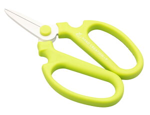 ⌹(Sakagen)  nhNG[V F180 tbfR[eBO 18×11cm { CO[ 2143