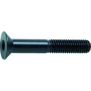 gXRR(TRUSCO) ZptM{g lW B730850  M8×50 17{ x 10pbN x yP[X̔z