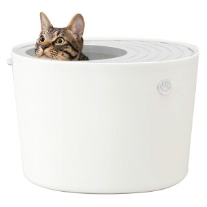 ACXI[} L gC ォLgC юUɂ v` AC{[