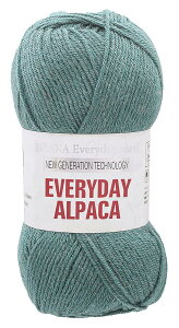 iXJ ҂ݖю GufC ApJ  COL.204 O[ n 100g300m