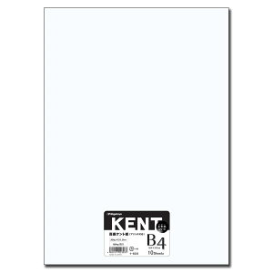 剮X Pg B4 y2Zbg 20zi-B303A*2