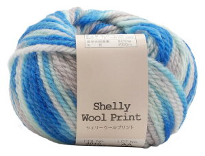 A(Motohiro) XL[ ҂ݖю VF[E[vg (5ʃZbg) Col.4010