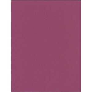 GXPg Pg X^[J[ A4 v 100 5756007