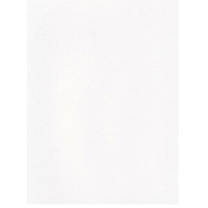 GXPg Pg X^[J[ A4 zCg 100 5720007