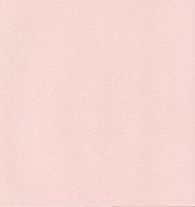 GXPg Pg X^[J[  CgsN 100 5728008