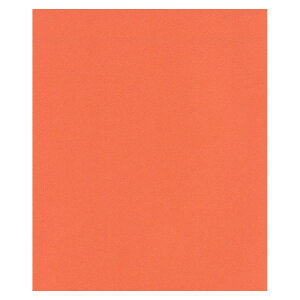 GXPg Pg X^[J[ l Lbg 100 5751004