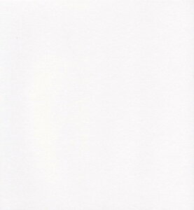 GXPg Pg X^[J[  zCg 100 5720008