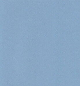 GXPg Pg X^[J[  LCiu[ 100 5733008