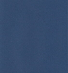 GXPg Pg X^[J[  lCr[u[ 100 5761008