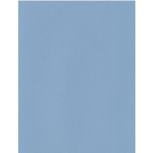 GXPg Pg X^[J[ A4 LCiu[ 100 5733007