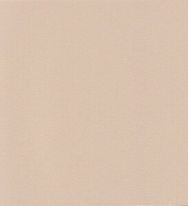 �G�X�P���g �P���g�� �X�^�[�J���[ ���� �X���[�N�x�[�W�� 100�� 5725008