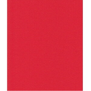 GXPg Pg X^[J[ A4 X[p[bh 100 5770007