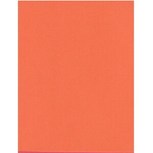 GXPg Pg X^[J[ A4 Lbg 100 5751007