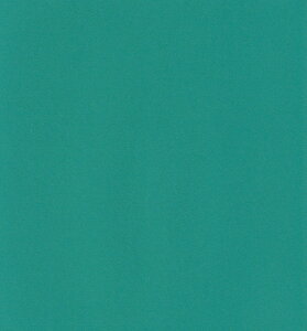 GXPg Pg X^[J[  Gh 100 5740008