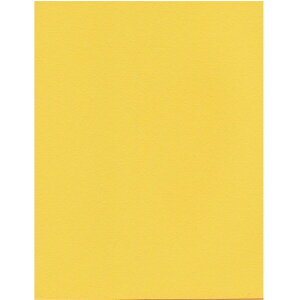 GXPg Pg X^[J[ A4 }[S[h 100 5748007