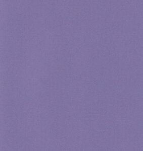 GXPg Pg X^[J[  oCIbg 100 5758008