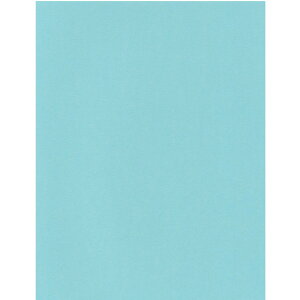 GXPg Pg X^[J[ A4 WFCh 100 5735007