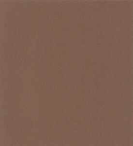 GXPg Pg X^[J[  `RuE 100 5766008