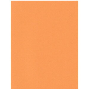 GXPg Pg X^[J[ A4 nEBIW 100 5750007