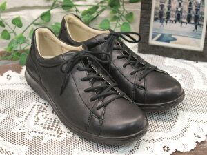 yACHILLES SORBOzU[gp ALX\{@^EV[Y@SRL3590yubN 22cm̂݁z