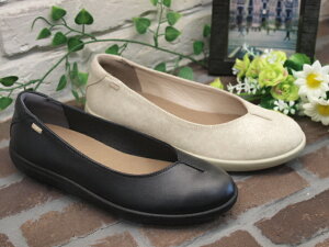 yACHILLES SORBOzALX \{C@tbg\[ JWApvX 499 yubNEzCgS[hz