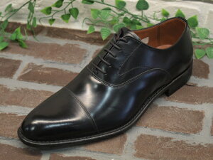 yYzyKENFORD PtH[hz{vrWlXV[Y@KB48 Xg[g`bvyubNzyH^Cv@[XAbv@tH[}@rWlX@Ձ@N[g@R^Cvz