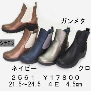 yFIZZ REEN tBY[zL4ECY@{vTChSAV[gu[c@2561y񂹃J[zy25FWEY҂z