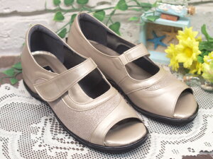 yL4EzJE^[tT}[JWARtH[gT_@1314yx[W22.5cm̂݁z