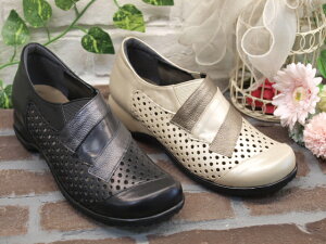 yL4EzT}[RtH[gV[Y 1226yx[W 23.5cm̂݁z