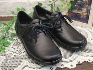 ySPORTHzLJWARtH[gV[Y@SP5610@yubNzy25FWz